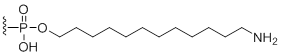 Unit Structure: 3'-Amino modifier C12